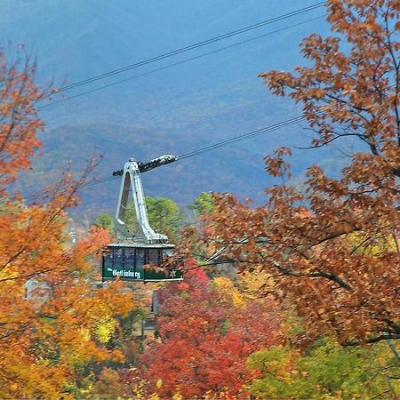 Cajun Hideaway Holiday Home Gatlinburg Kültér fotó